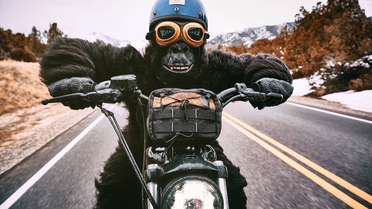 Lithium might be back but the ride will be wild