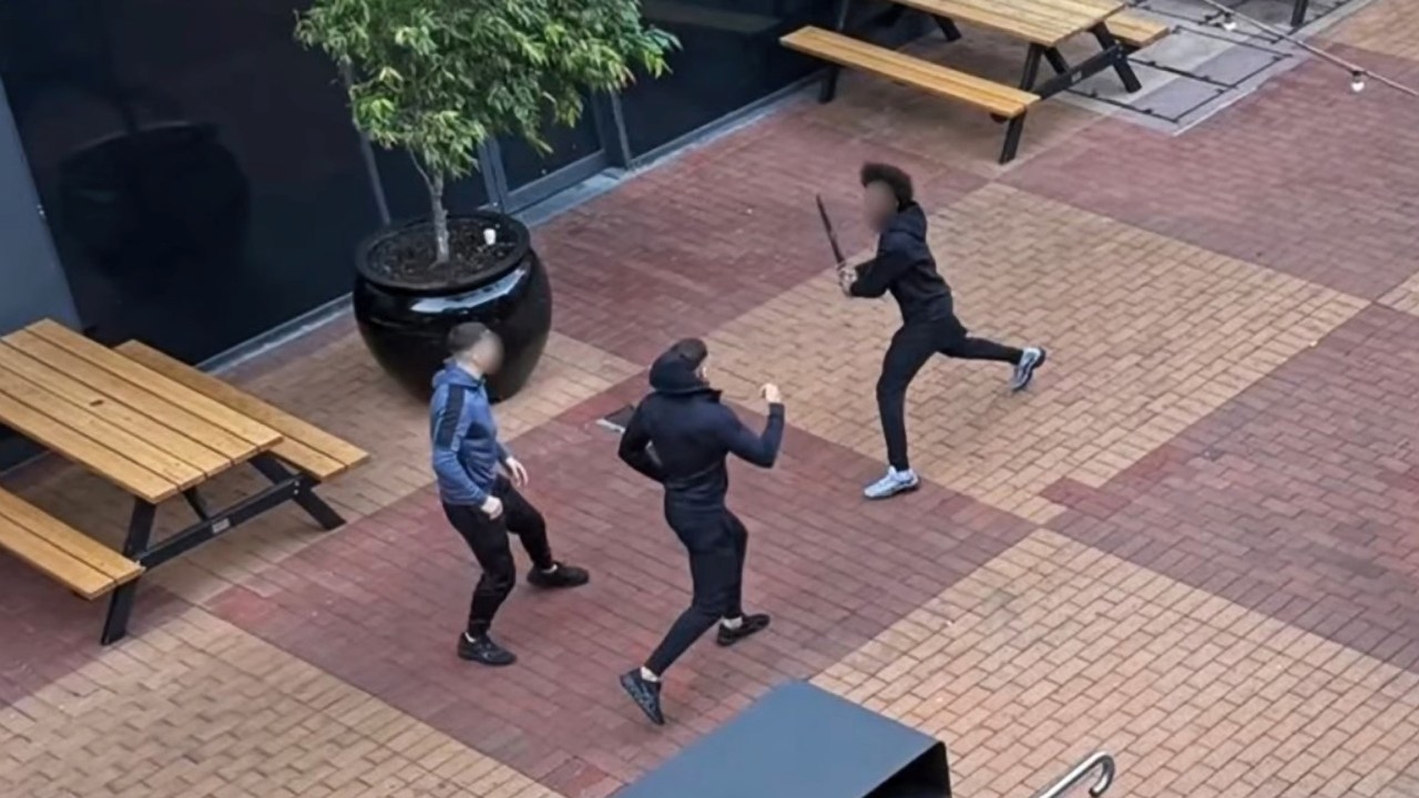 Allan government urged to legislate two-year jail sentences for anyone caught with machete on the streets in Victoria