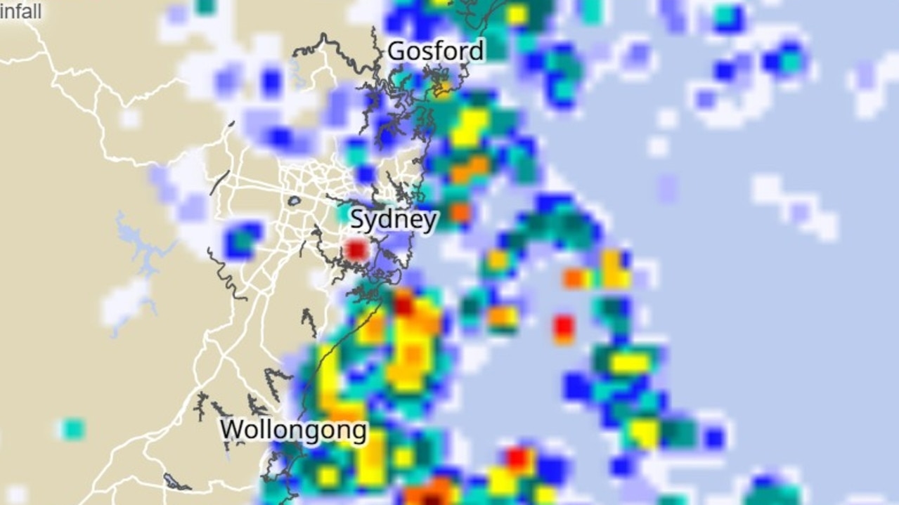 Rain hits Sydney's City2Surf as thousands run from CBD to Bondi