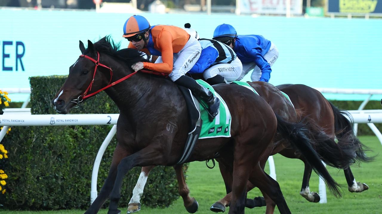 Ray Thomas's Blackbook: Five to follow from Royal Randwick on Saturday