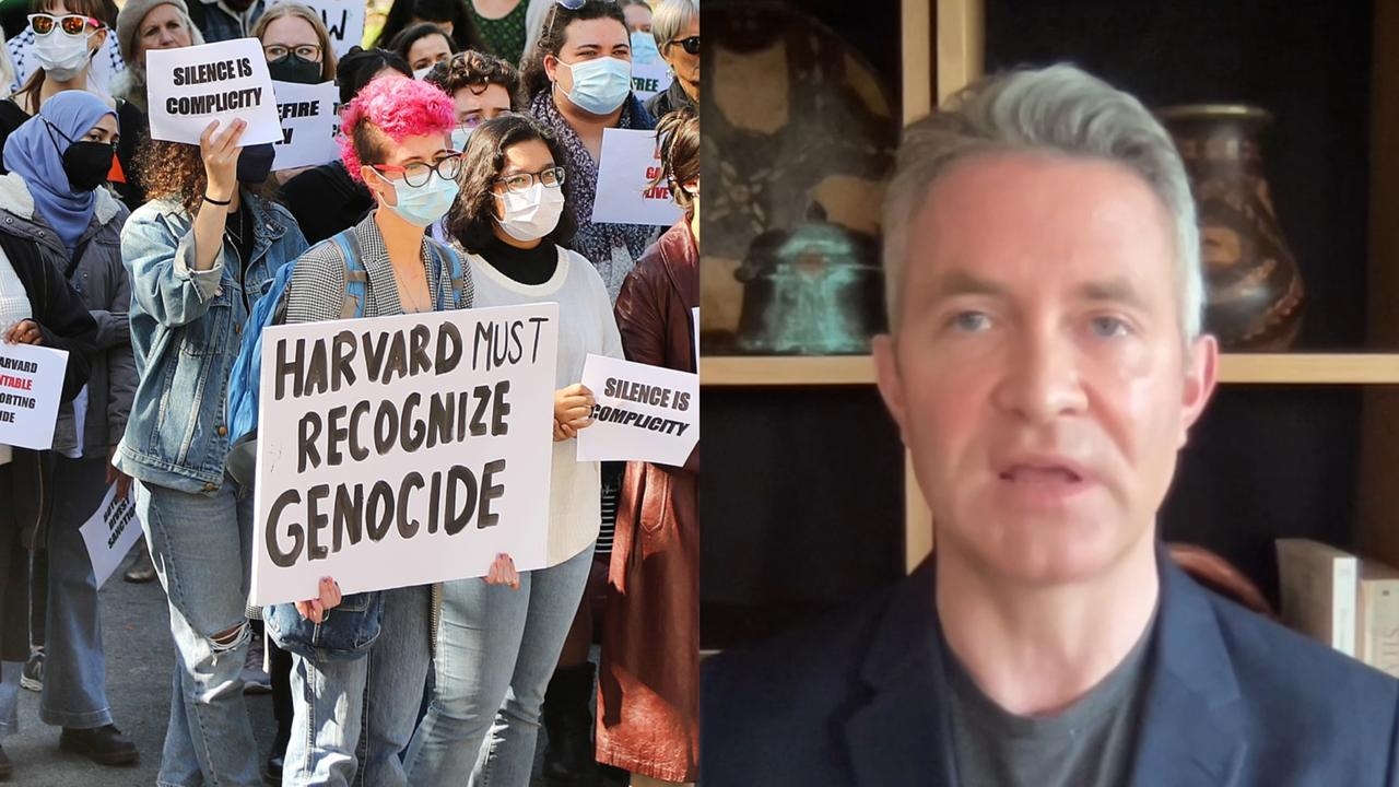 Douglas Murray blasts ‘low-level copycats' at Harvard for inane letter blaming Israel for war