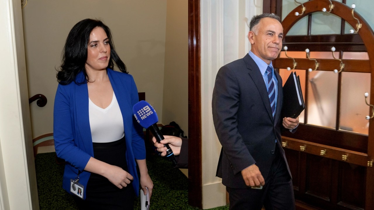 John Pesutto rejected 'offer of assistance' from Moira Deeming that would have saved him from bankruptcy, prevented by-election