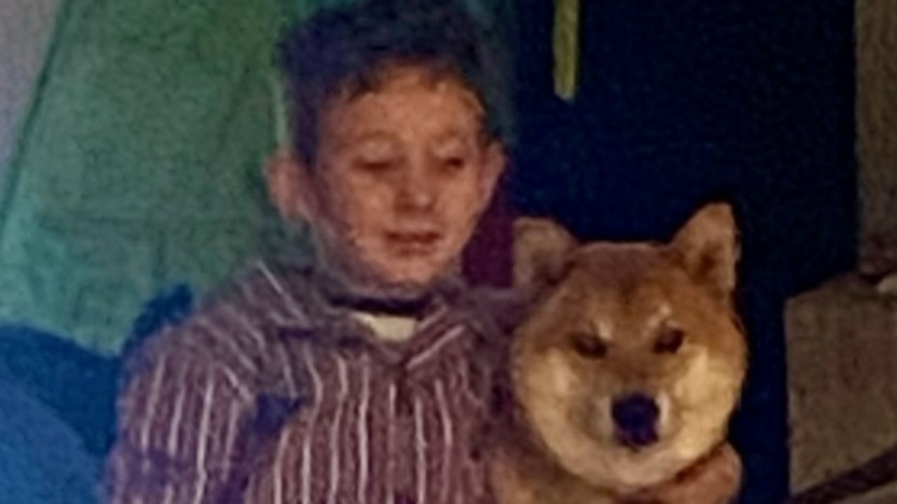 Alice Springs mum hoping to reunite her son with best friend, a missing shiba inu