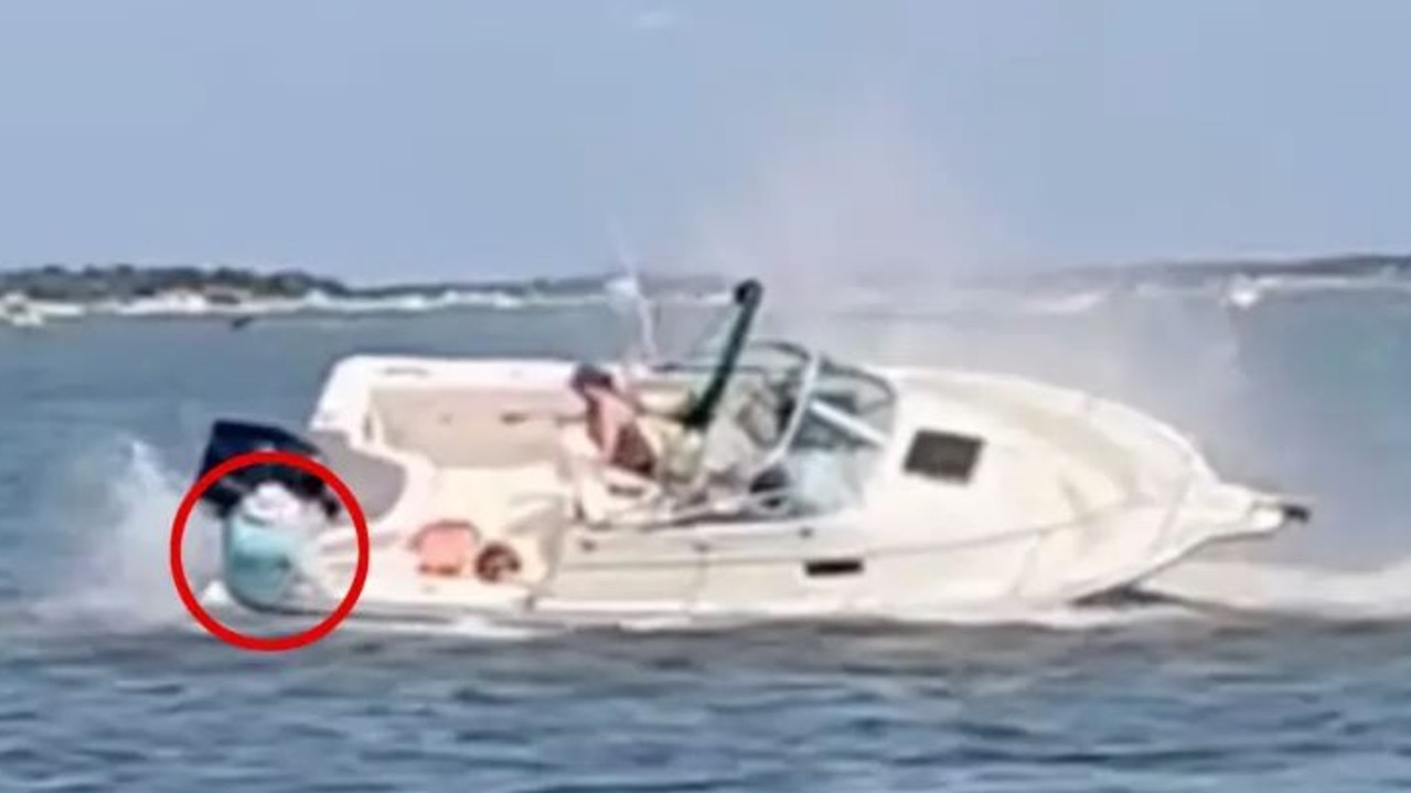 Whale killed off Jersey Shore after bashing boat, throwing passenger into water