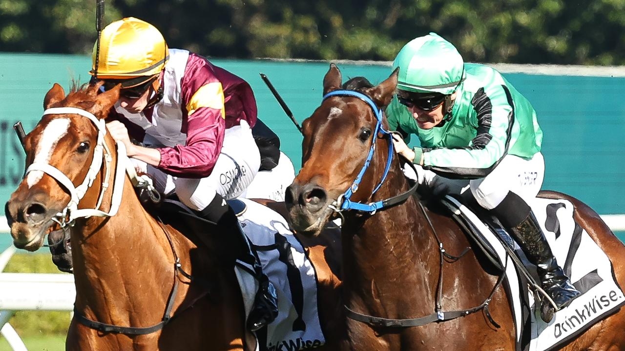 Shohisha's stunning win at Randwick highlights David Payne's mastery in training strategies