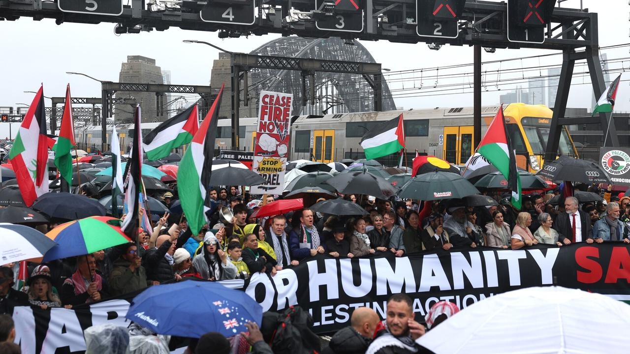 ‘They wouldn't survive an hour in Iran': Protesters shamed for supporting Iranian regimes