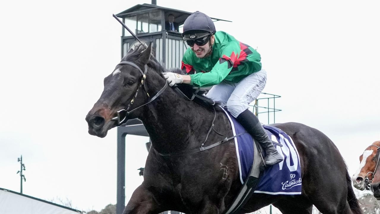 Mornington trainers Lyn Tolson and Leonie Proctor eye Listed win with Pop Award in Regal Roller Stakes at Caulfield