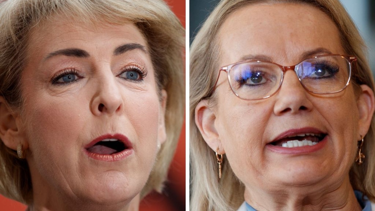 WA Liberal senator Michaelia Cash stands firm on ‘one flag'