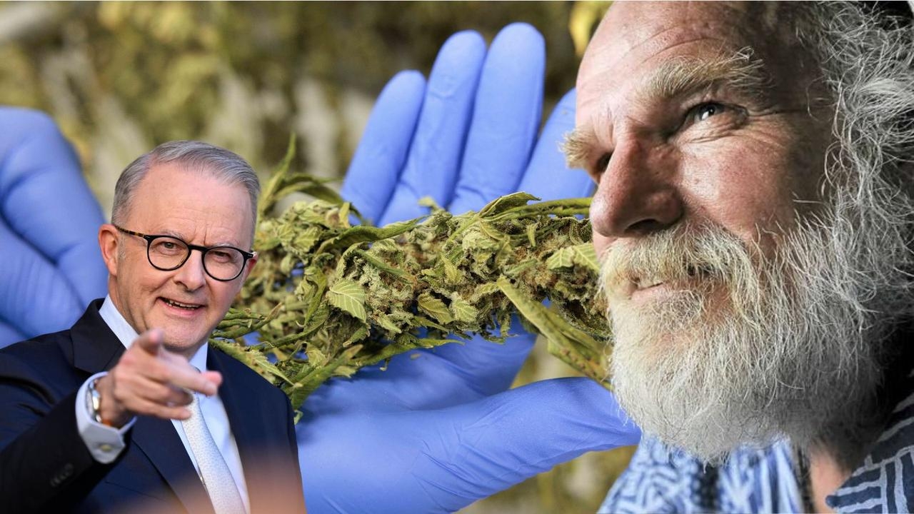 ‘We'll win sooner or later': Legalise Cannabis Party has high hopes after surprise election result