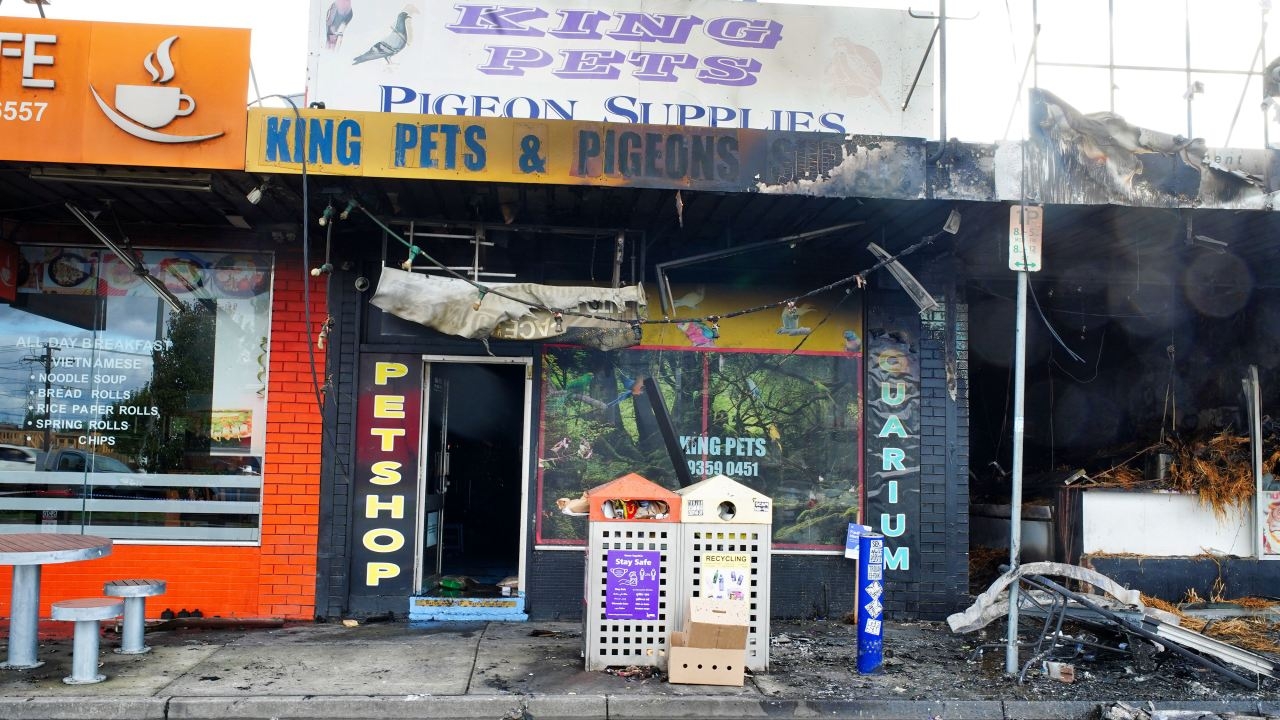 Rabbits, fish and birds amongst dozens of animals killed after firebombing on acai cafe spreads to King Pets store in Melbourne
