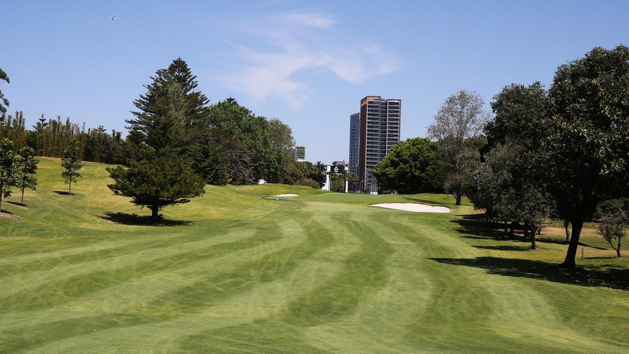 Moore Park redevelopment would require ‘mass tree clearing', documents reveal