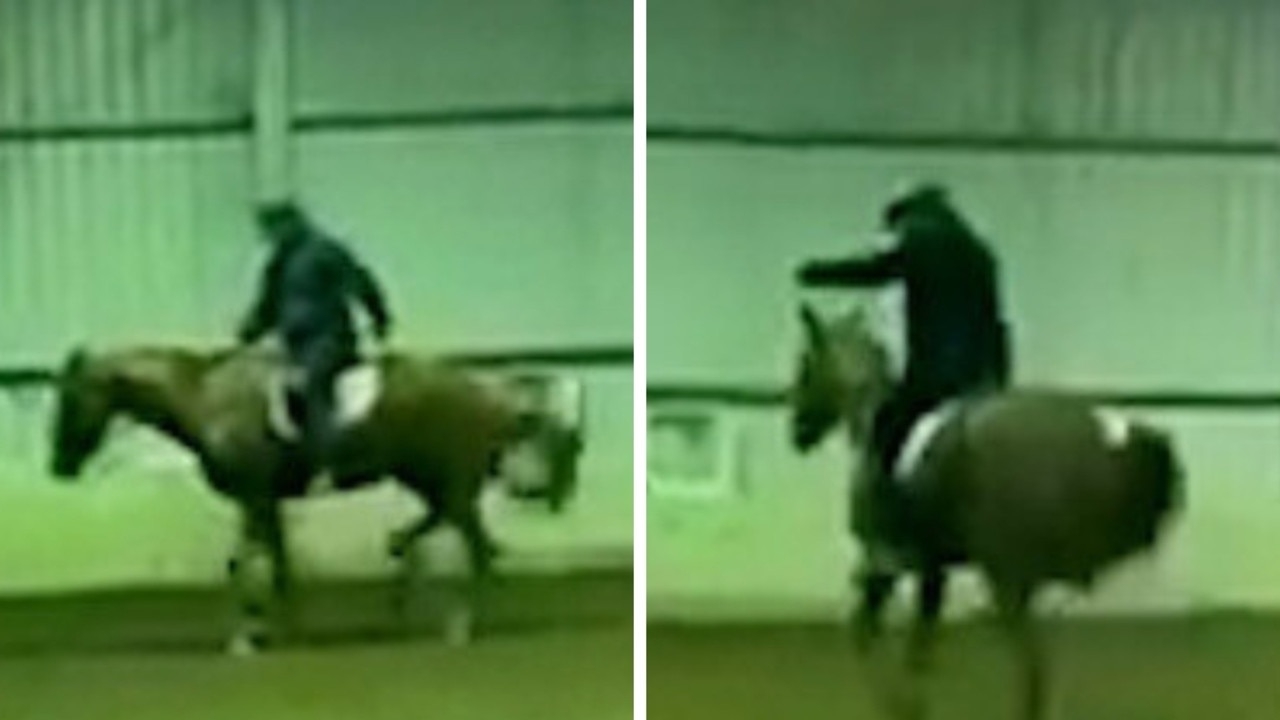 Australian Olympian suspended as world left horrified by footage of horse whipped 42 times