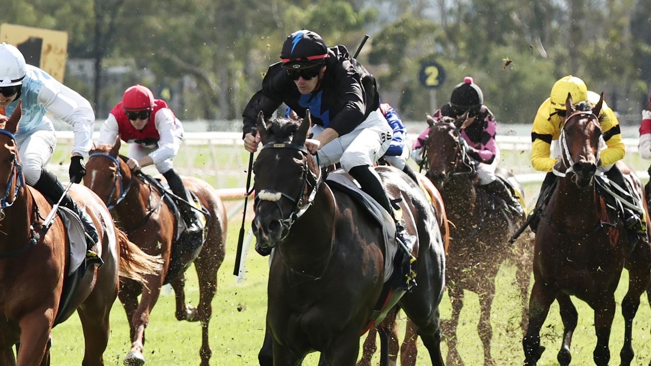Aerodrome set for Queensland Winter Carnival campaign after Hawkesbury win