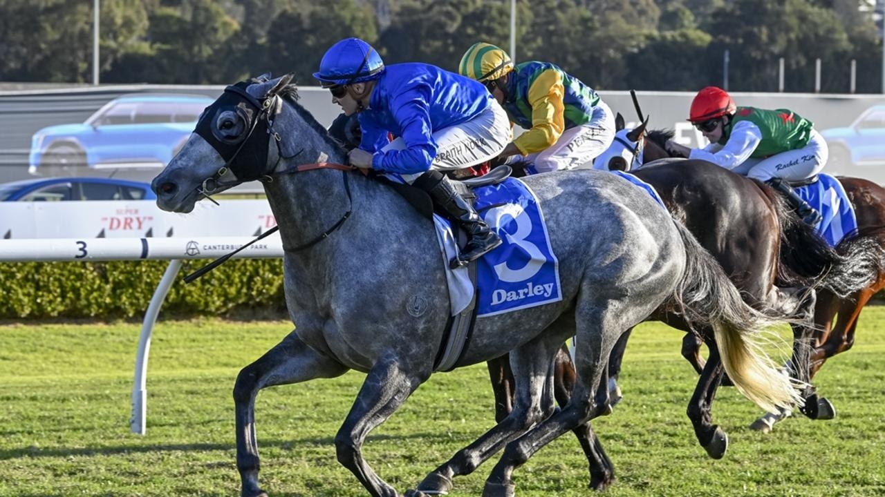Trainer Mark Minervini hopes for grey day at Rosehill with new stable addition Hanau