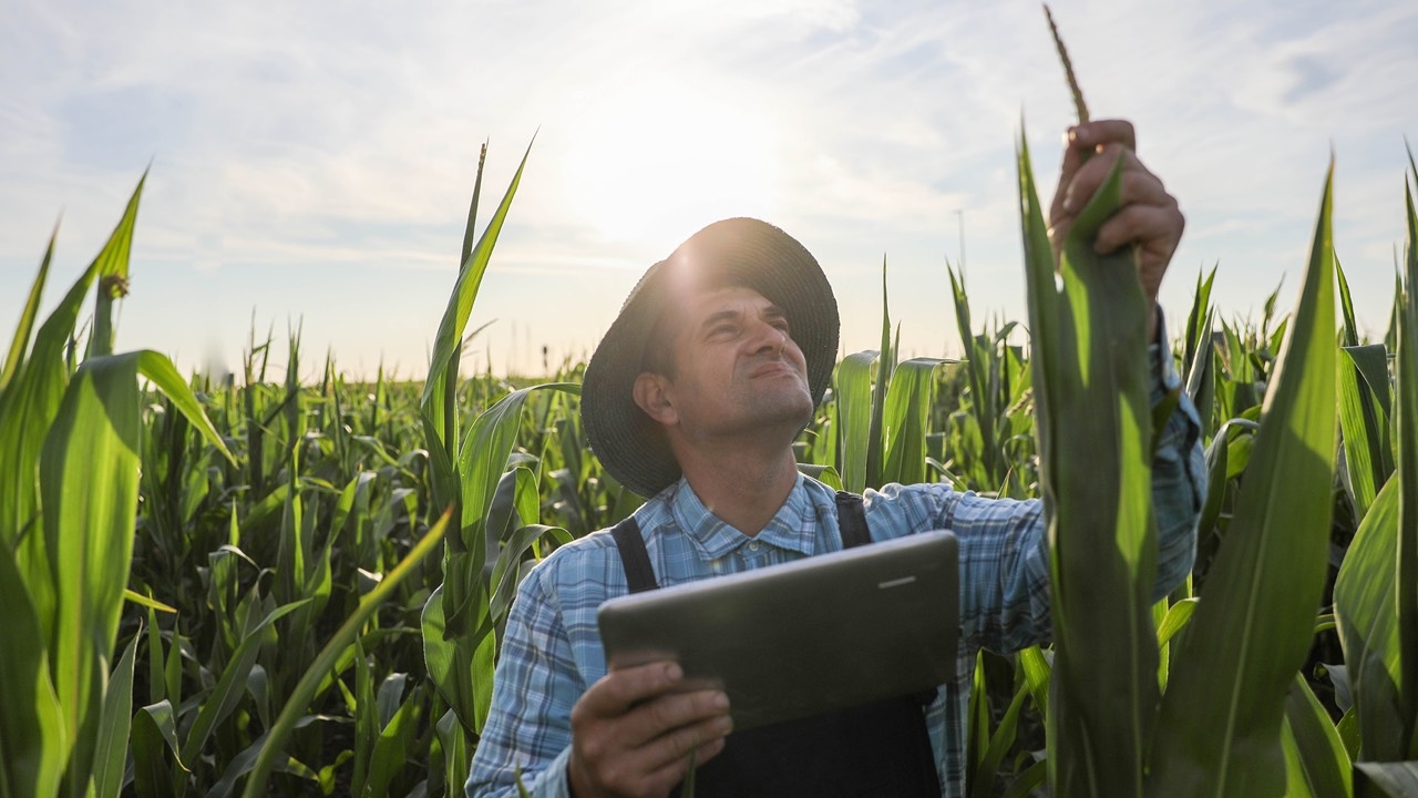 Aussie farmers need more than rain, so RLF harvests hope with root-deep tech
