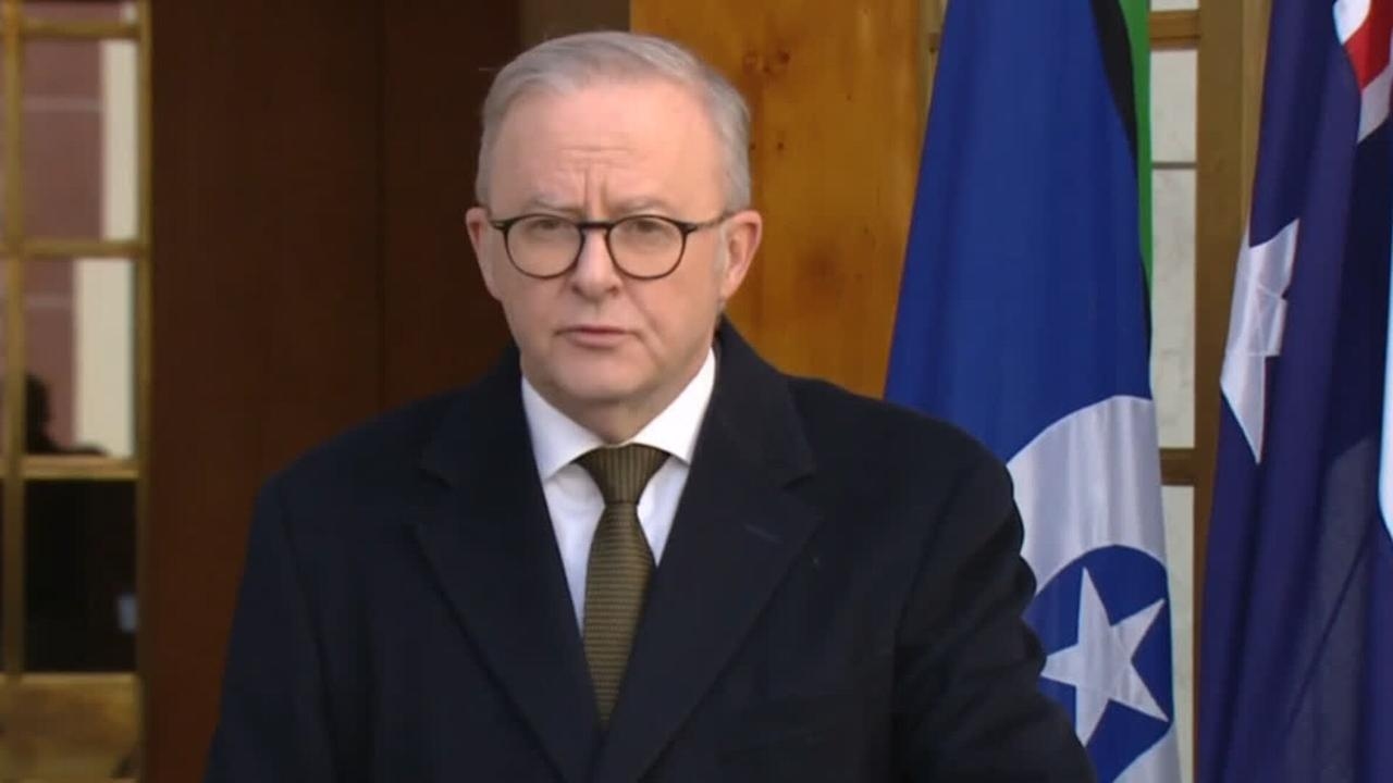 Albanese's Palestine announcement ‘shameful, useless and lethally dangerous'