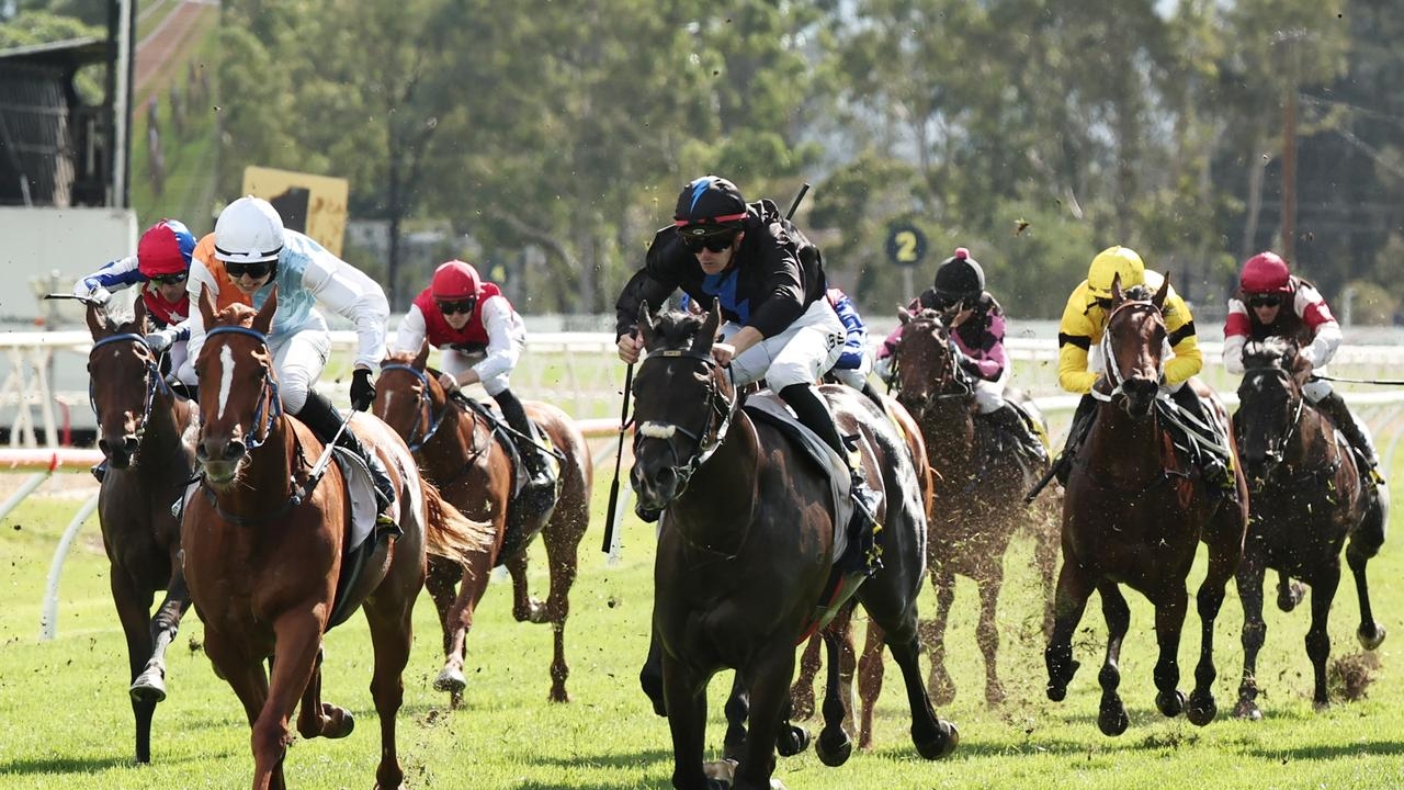 Mitch Cohen's Blackbook: Five to follow from Hawkesbury Saturday