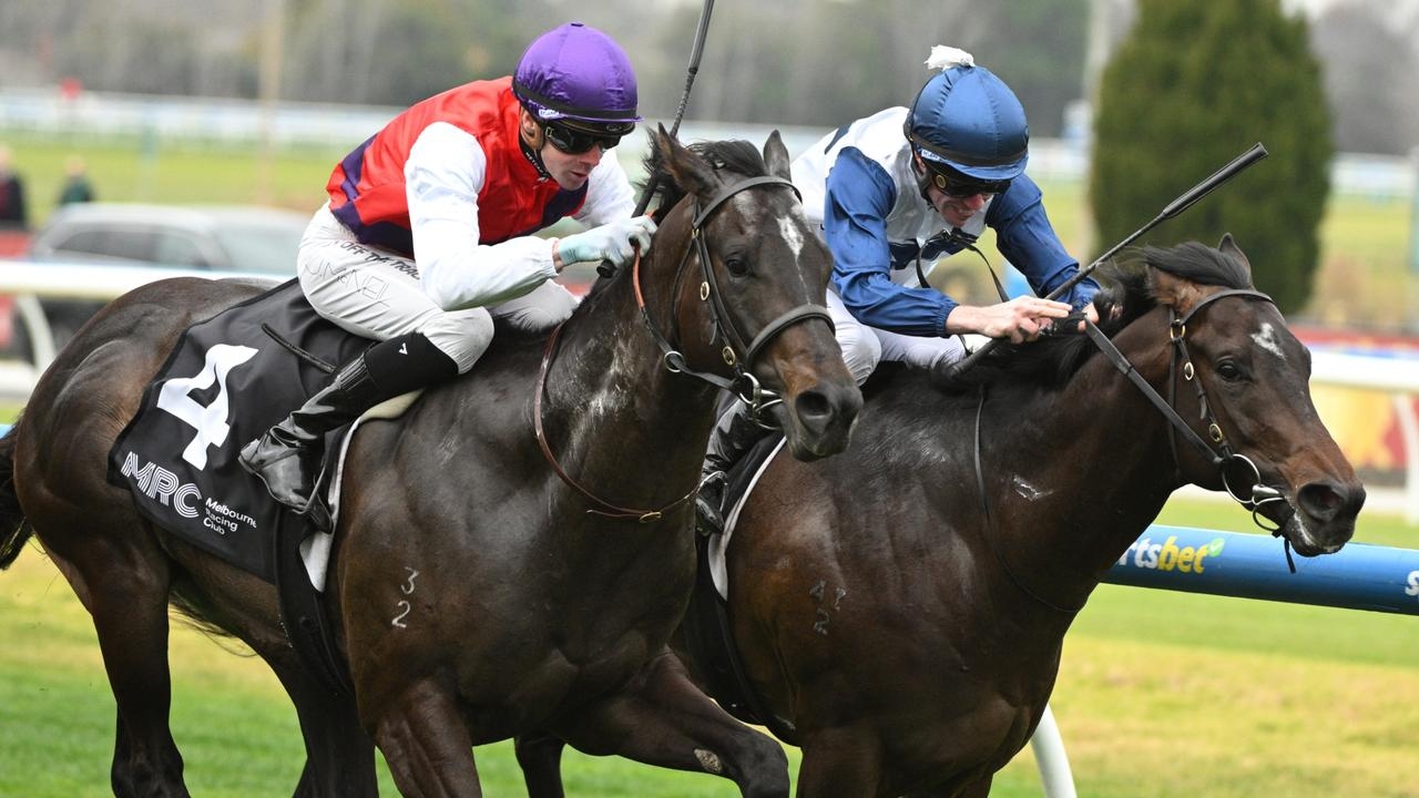 Flemington is your Oyster: Ciaron Maher-trained colt to find fast Lane at Flemington on Saturday