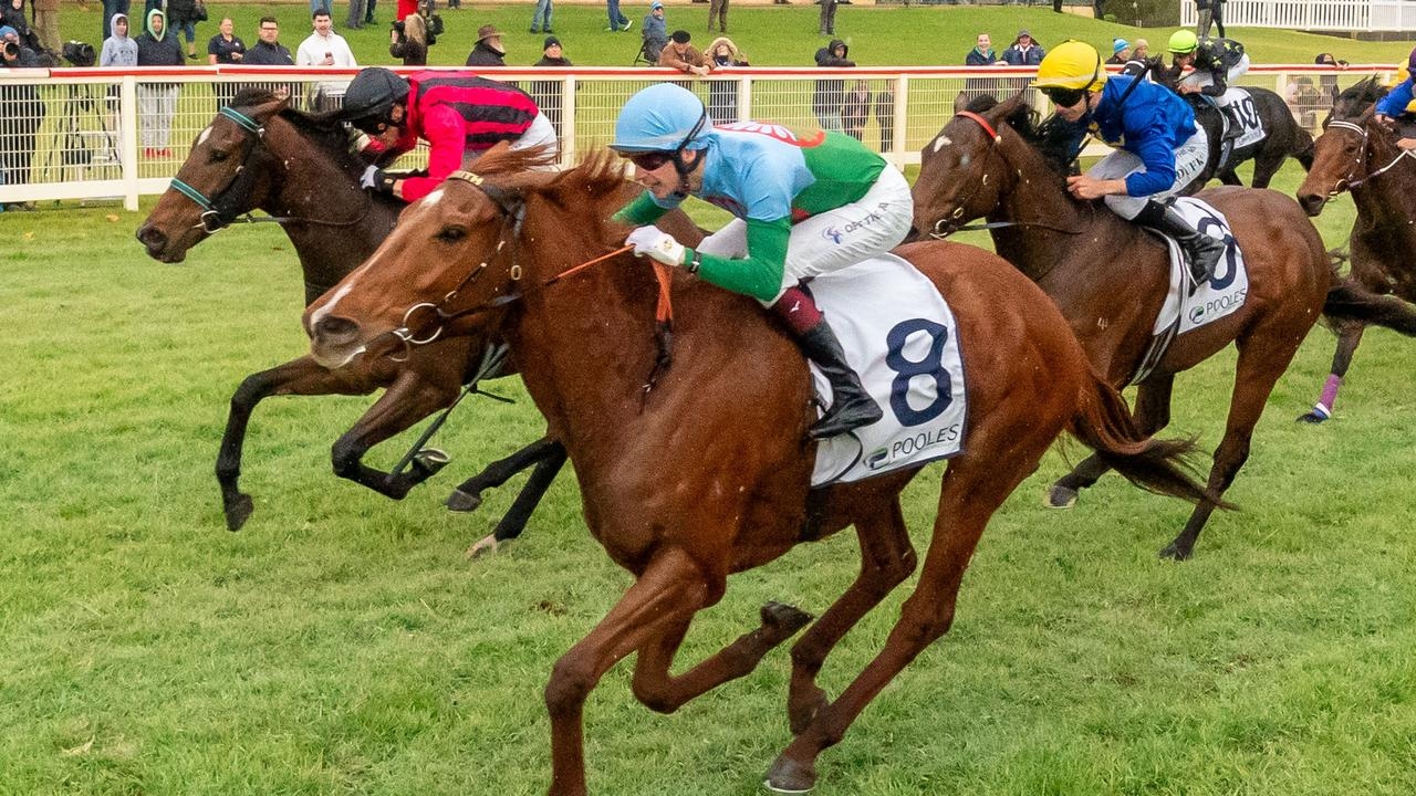 Yellow Sam aiming to win at Caulfield 50 years exactly after her Irish namesake pulled off famous betting plunge