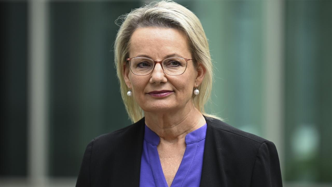 Sussan Ley ‘represents our best chance to rebuild', says Liberal MP