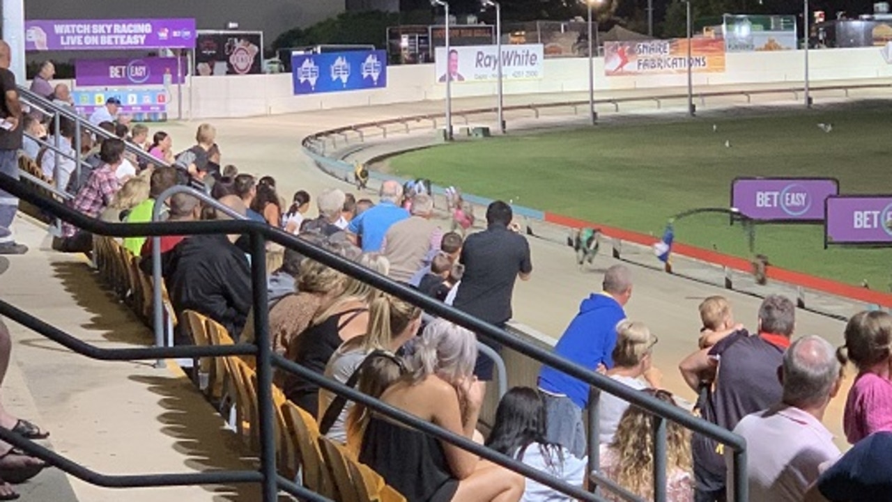 Dapto Dogs: Greyhound racing to close in June 26