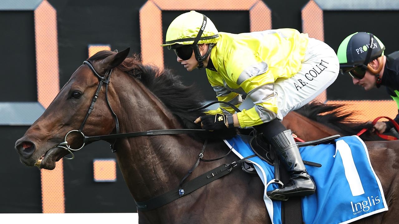 With Your Blessing ready to launch in July Sprint ahead of Missile Stakes bid