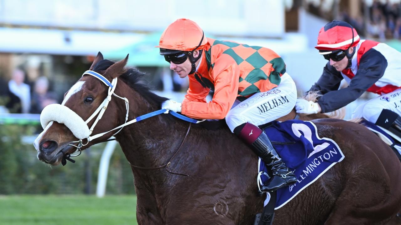 Bridal Waltz's stunning upset over She's An Artist in Creswick Stake no surprise to Peter Moody