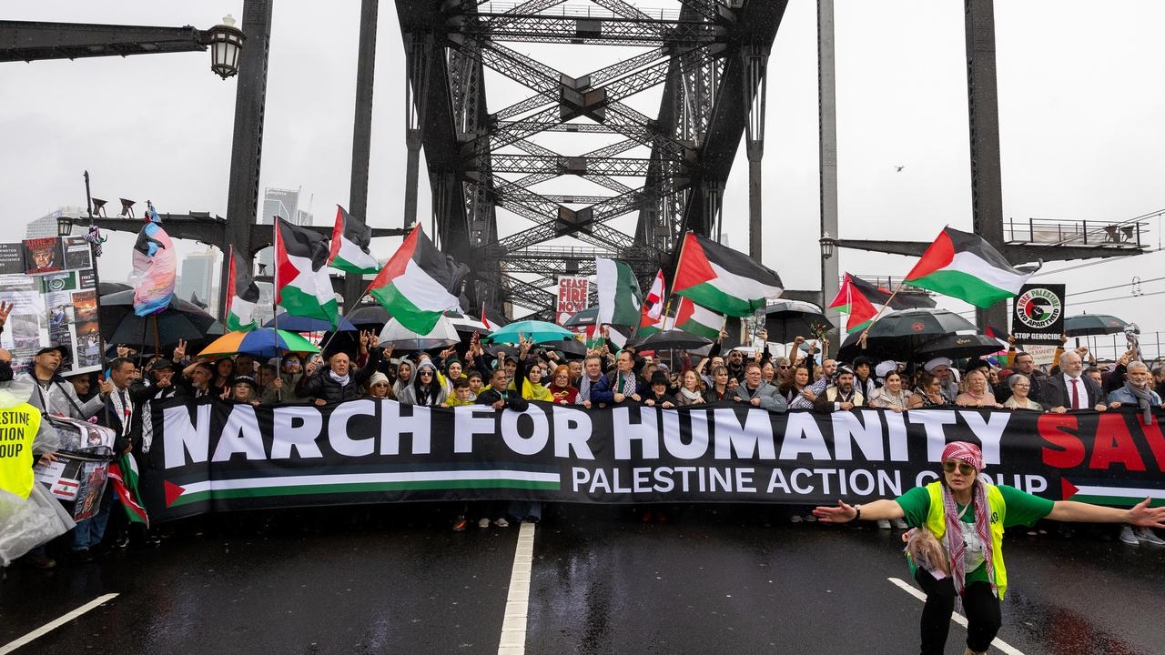 PM should have consulted opposition on Palestine pledge, Coalition frontbencher says