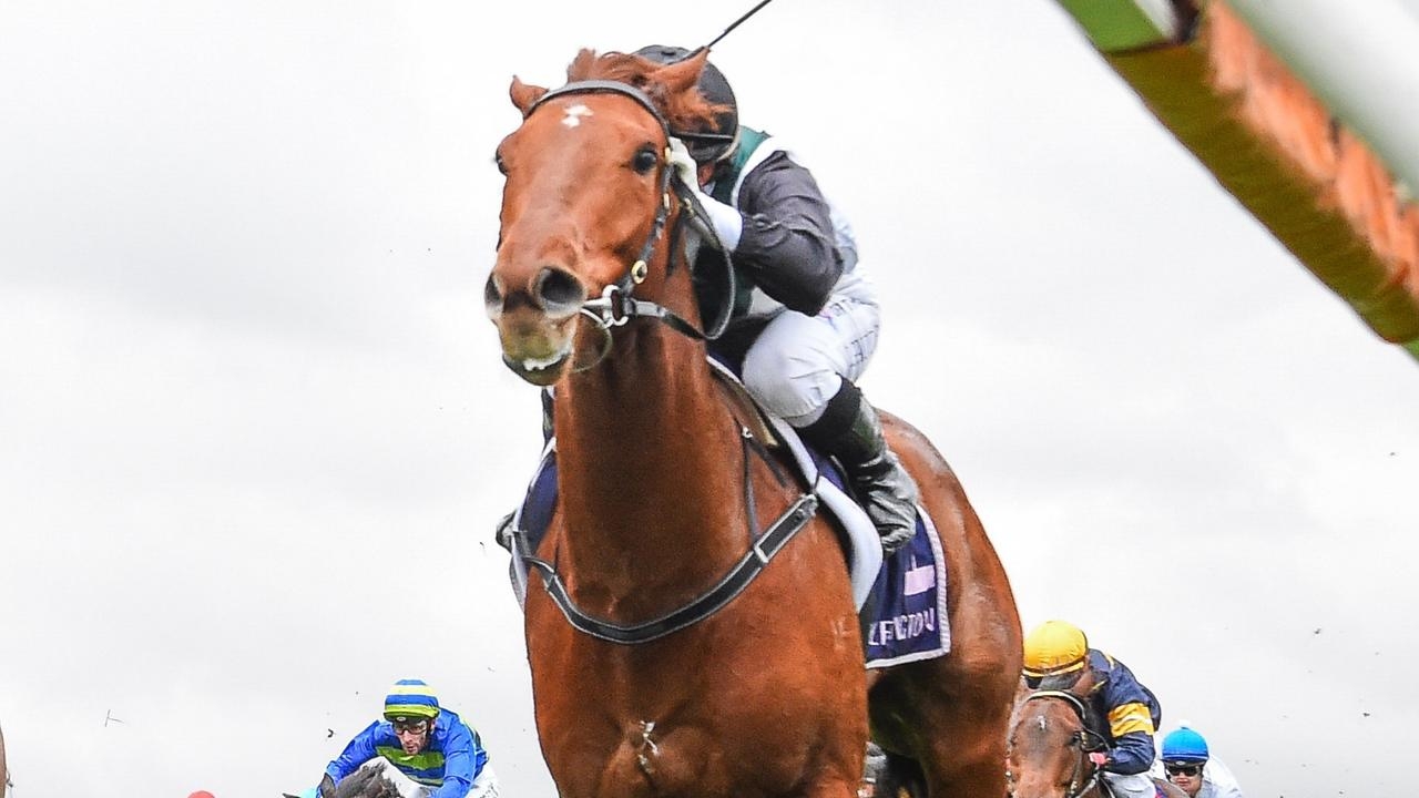 Rise At Dawn primed to spring upset in Group 1 Kingsford Smith Cup