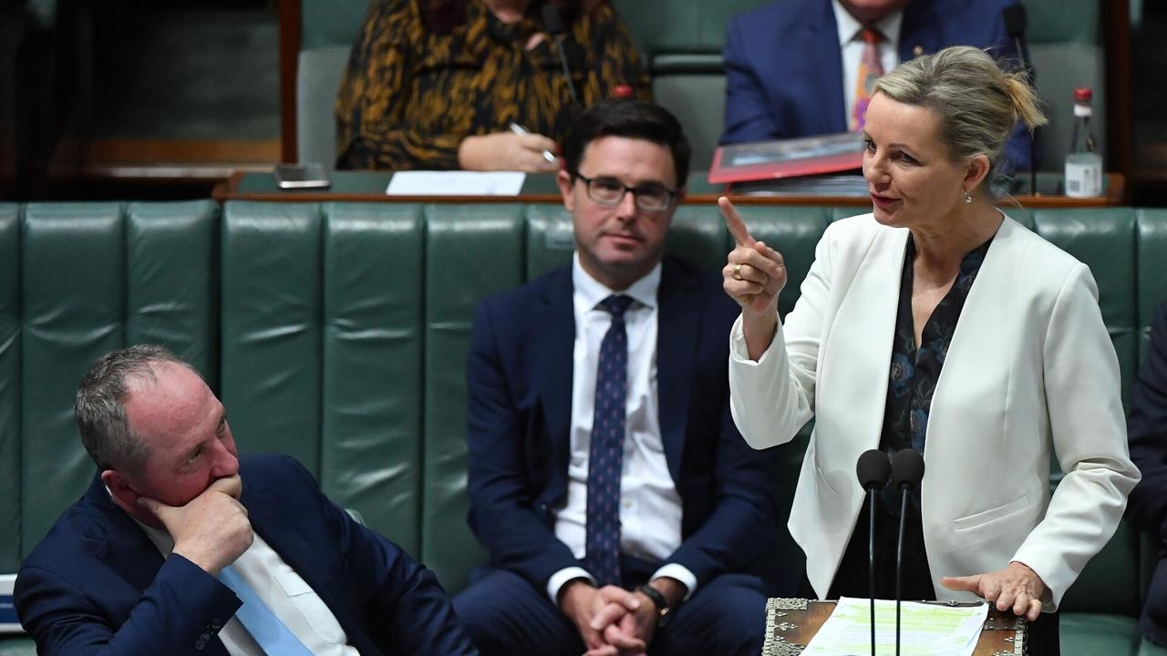 ‘Big divide': Liberal Party split on gender quota debate