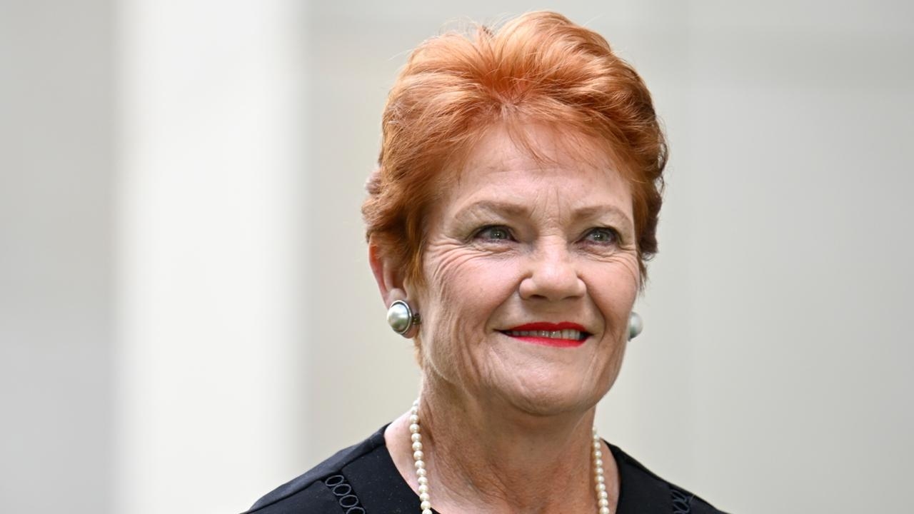 ‘Nothing racist about protecting your country': One Nation's immigration stance misunderstood