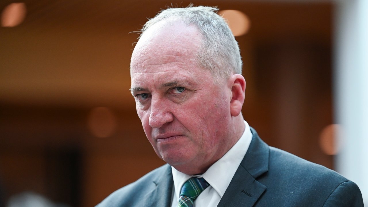 ‘It's abhorrent': Barnaby Joyce vows to oppose Coalition on net zero at every turn after shadow cabinet axing while fiercely criticising moderate Liberals