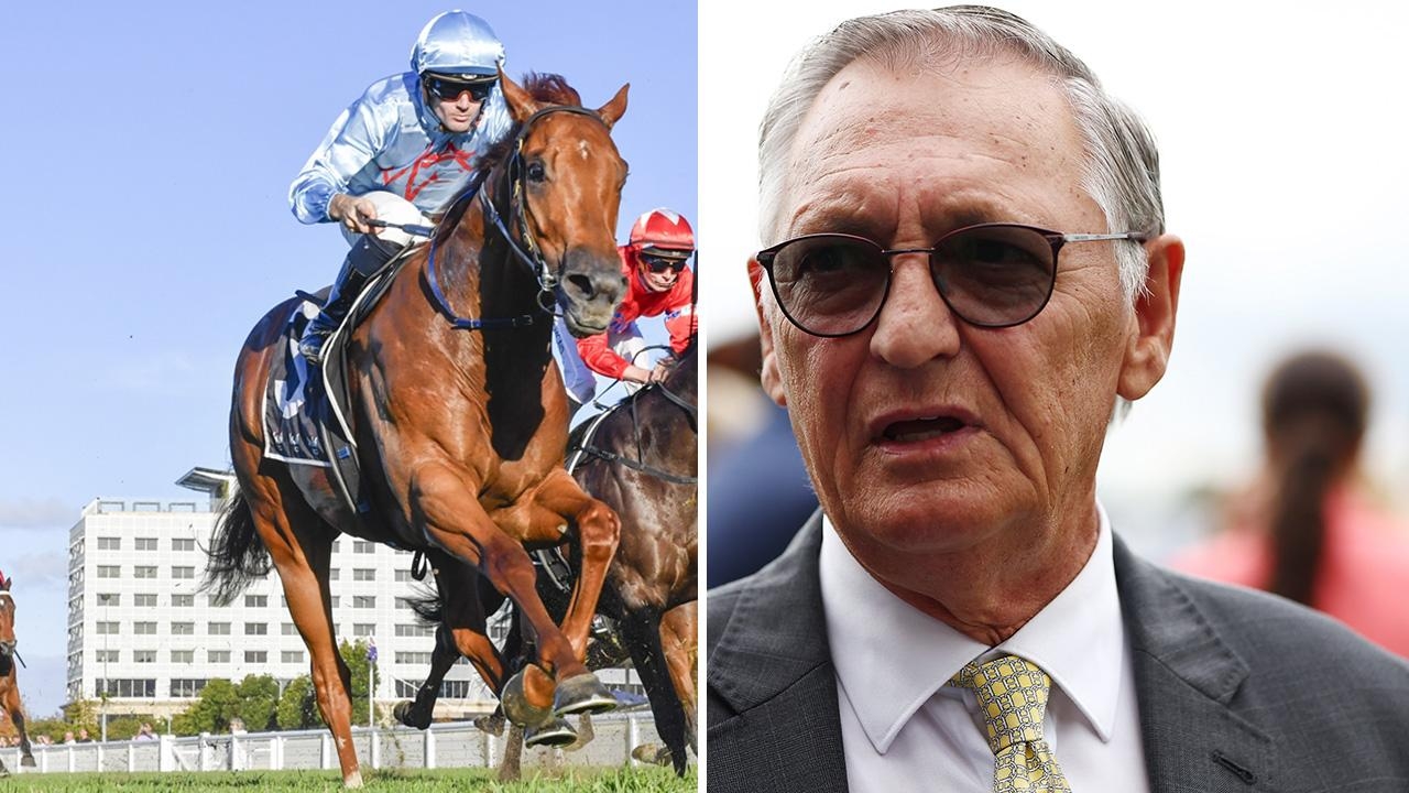 ‘My four handle it': Trainer Peter Snowden has a heavy hand at Randwick with King Of Roseau, Lavish Empire, Behtar and Flying Thinker