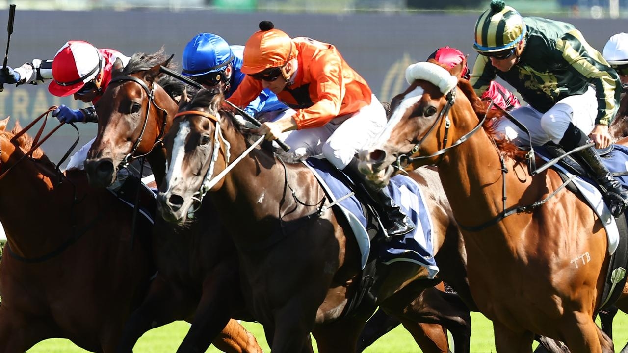 Kris Lees worried about rain for Brudenell in Group 2 Missile Stakes at Randwick