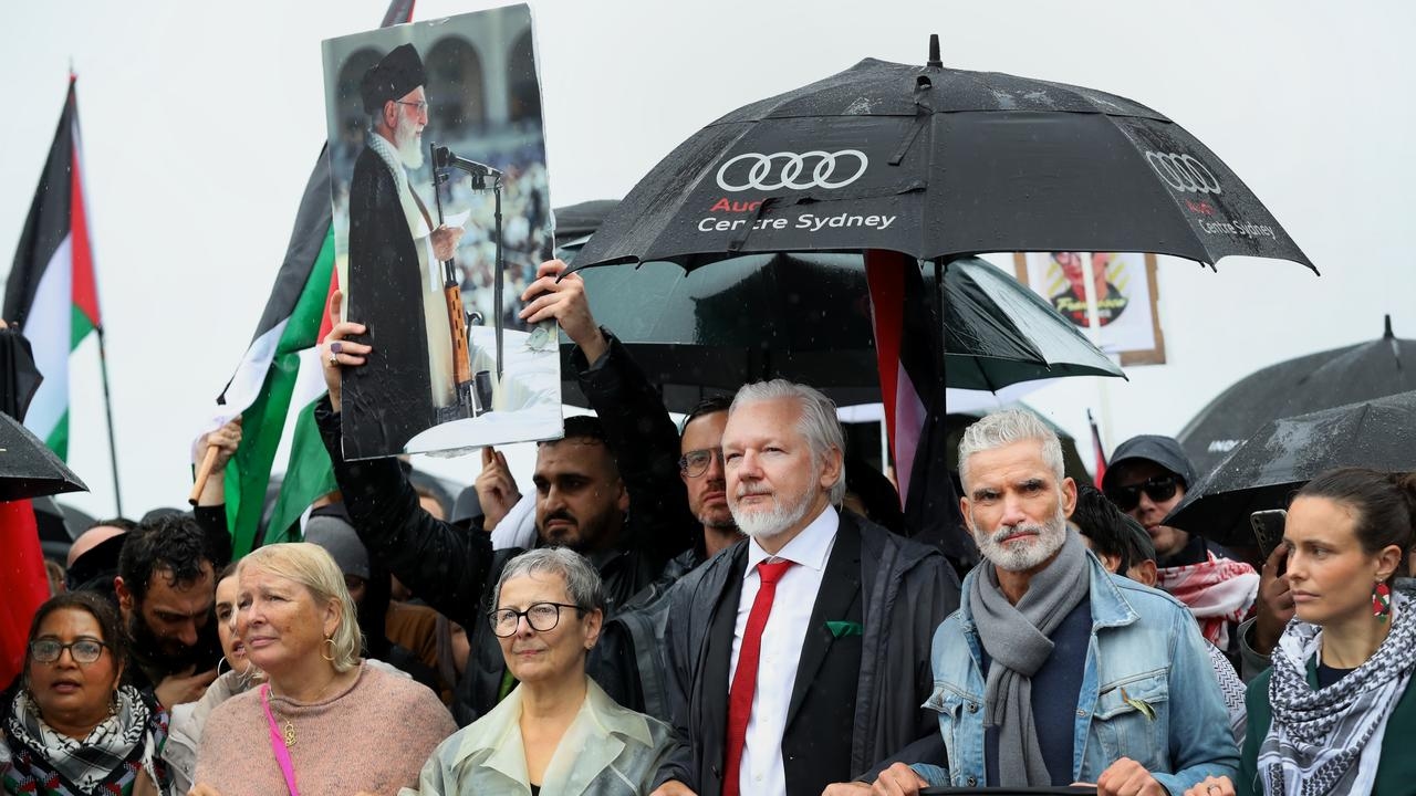 Unsettling detail in Sydney Pro-Palestine protest photo