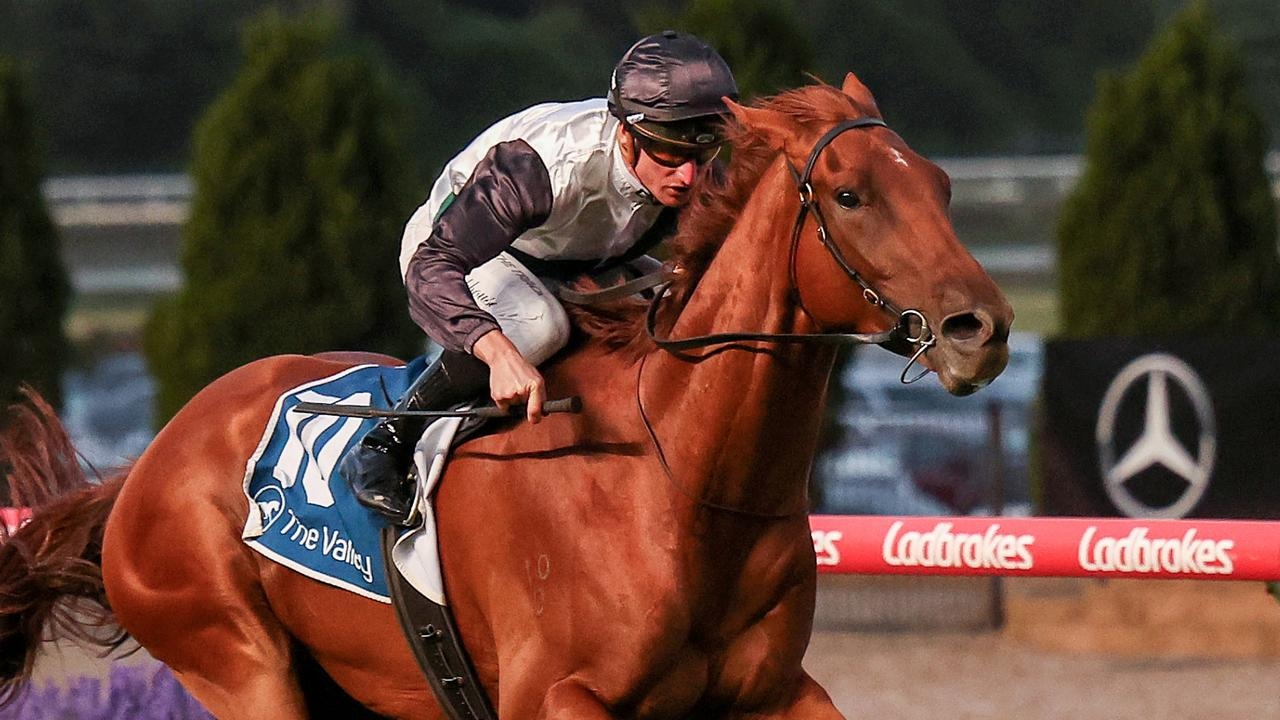 Rise At Dawn out to give Lindsay Park a first Stradbroke Handicap win
