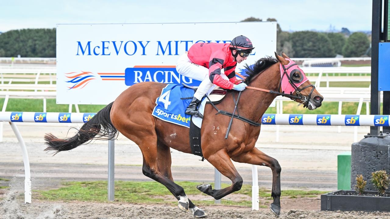 On The Punt: Volkano to erupt at Ballarat