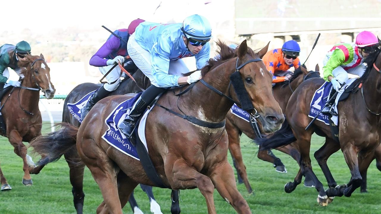 Sydney sprinter King Of Roseau dominates in Aurie's Star Handicap raid at Flemington