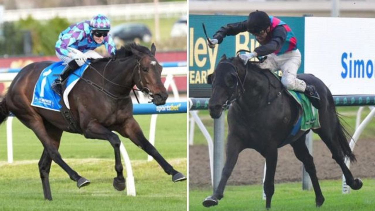 There will be cheers all round if Antino or Pride Of Jenni wins Group 1 Doomben Cup
