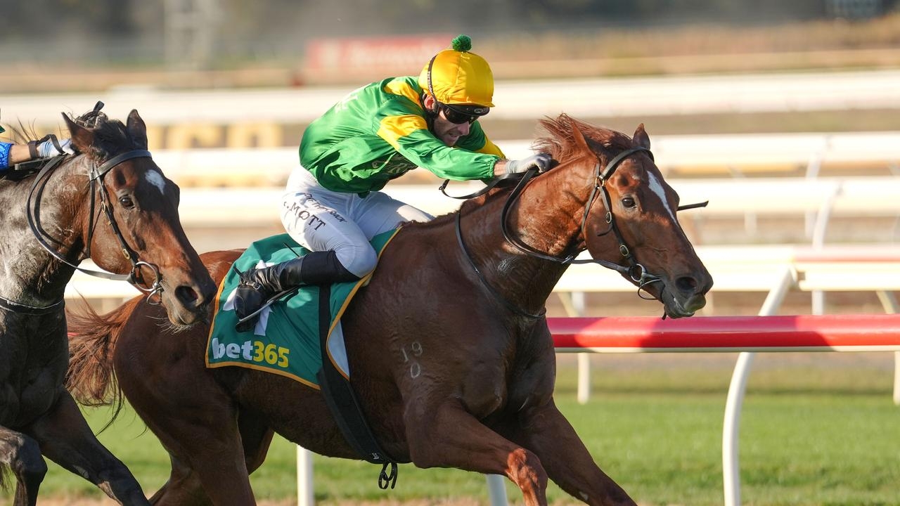Mornington trainer John McArdle confident Regal Zeus can hold his own against Pride Of Jenni