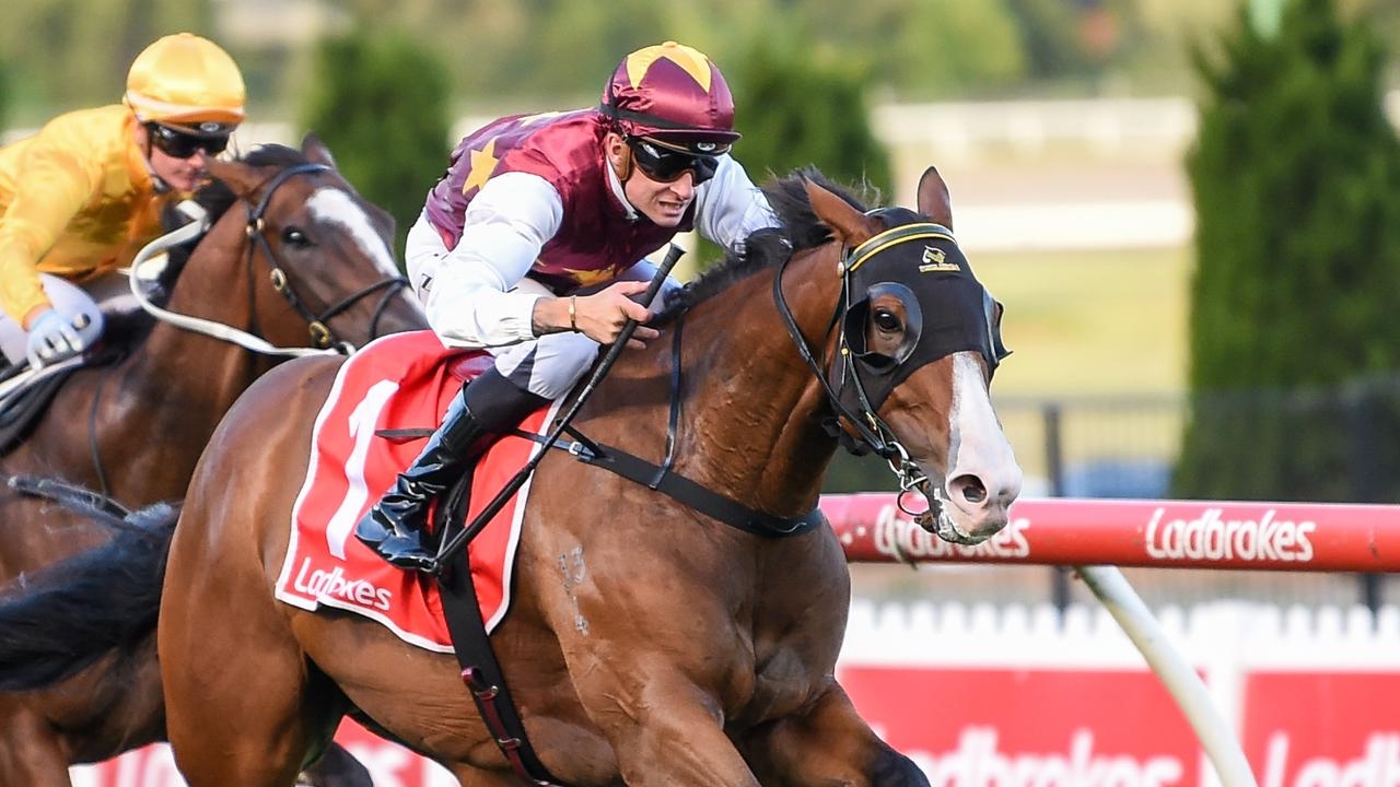 Streets Of Avalon's $350,000 half-brother Bradford to debut at Sale on Thursday
