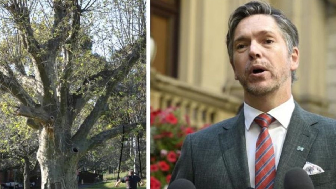 Melbourne Lord Mayor: First Nations seasonal calendar ‘makes a bit more sense'