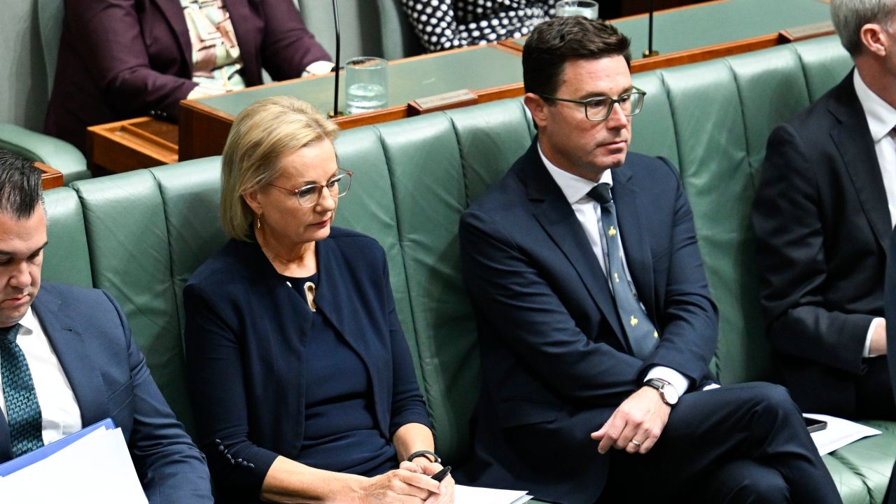 ‘Not a marriage': Nationals Senator argues Coalition break up should be ‘on the table' but former Nationals leader says 'absolutely not'