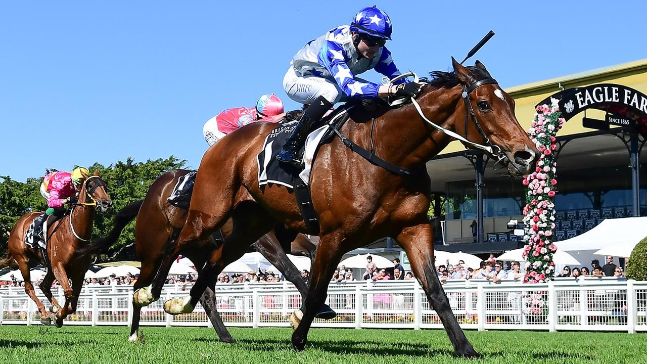 'Confidence' is the buzz word for apprentice Cobi Vitler who is making every post a winner
