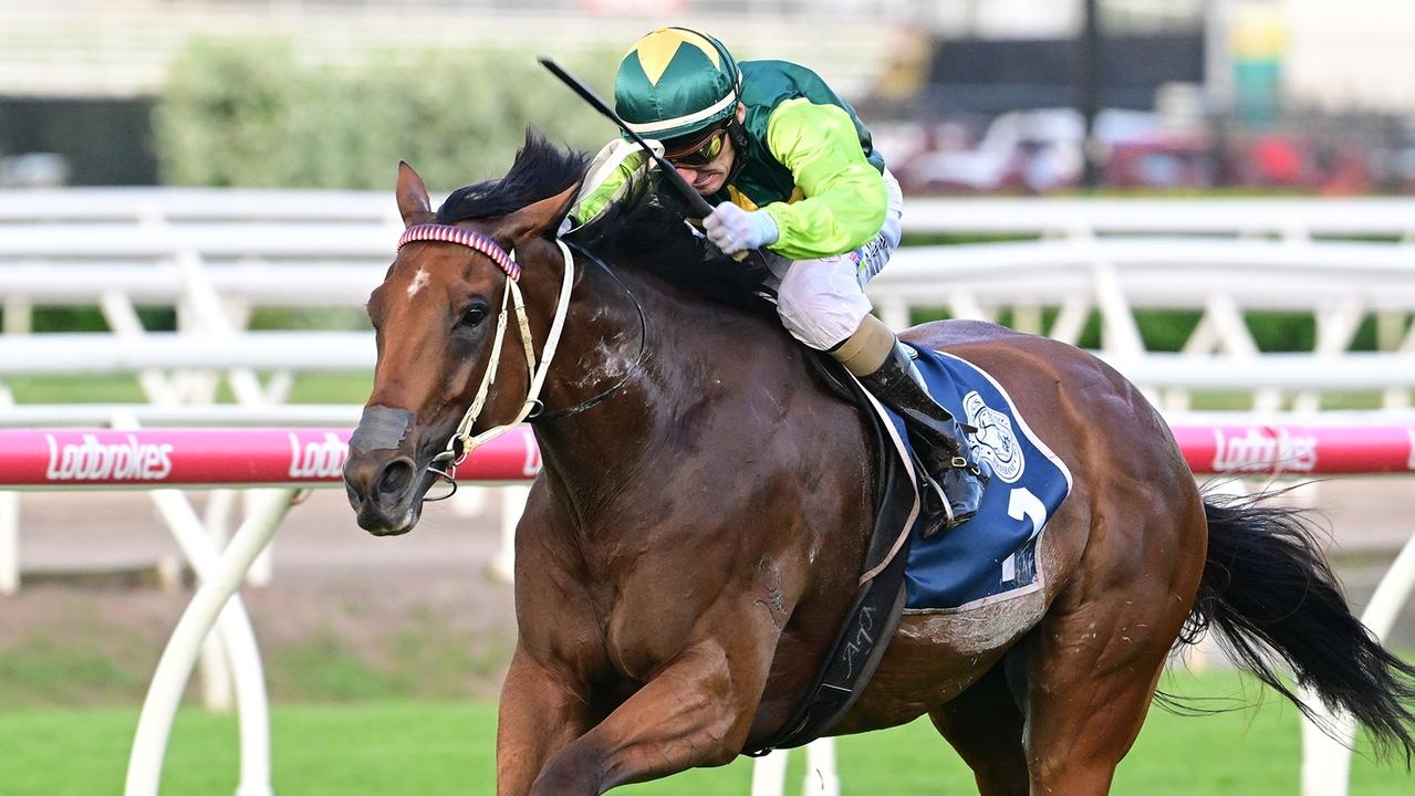 Trainer Maddy Sears says Yellow Brick ‘well over the odds' for Stradbroke Handicap