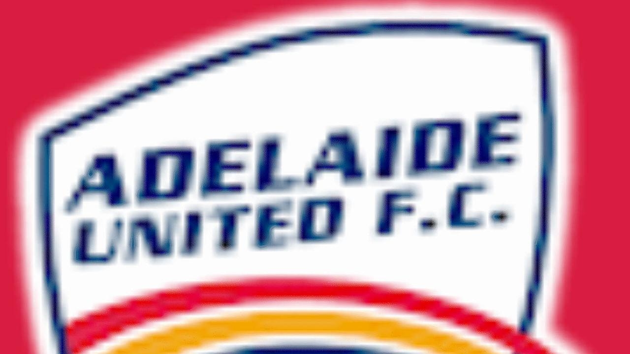 Veteran gloveman Eloy Room among many options Adelaide United has in search for a goalkeeper