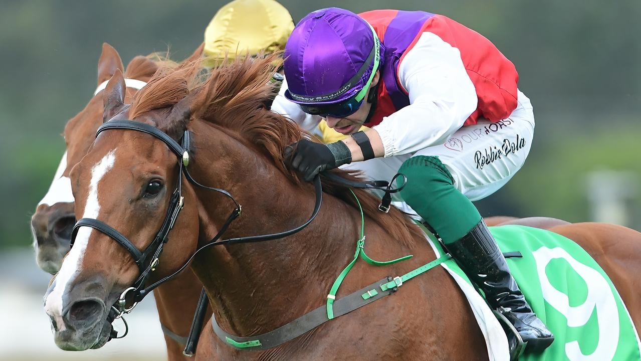 2024 Melbourne Cup-winning jockey Robbie Dolan again shines at Ipswich