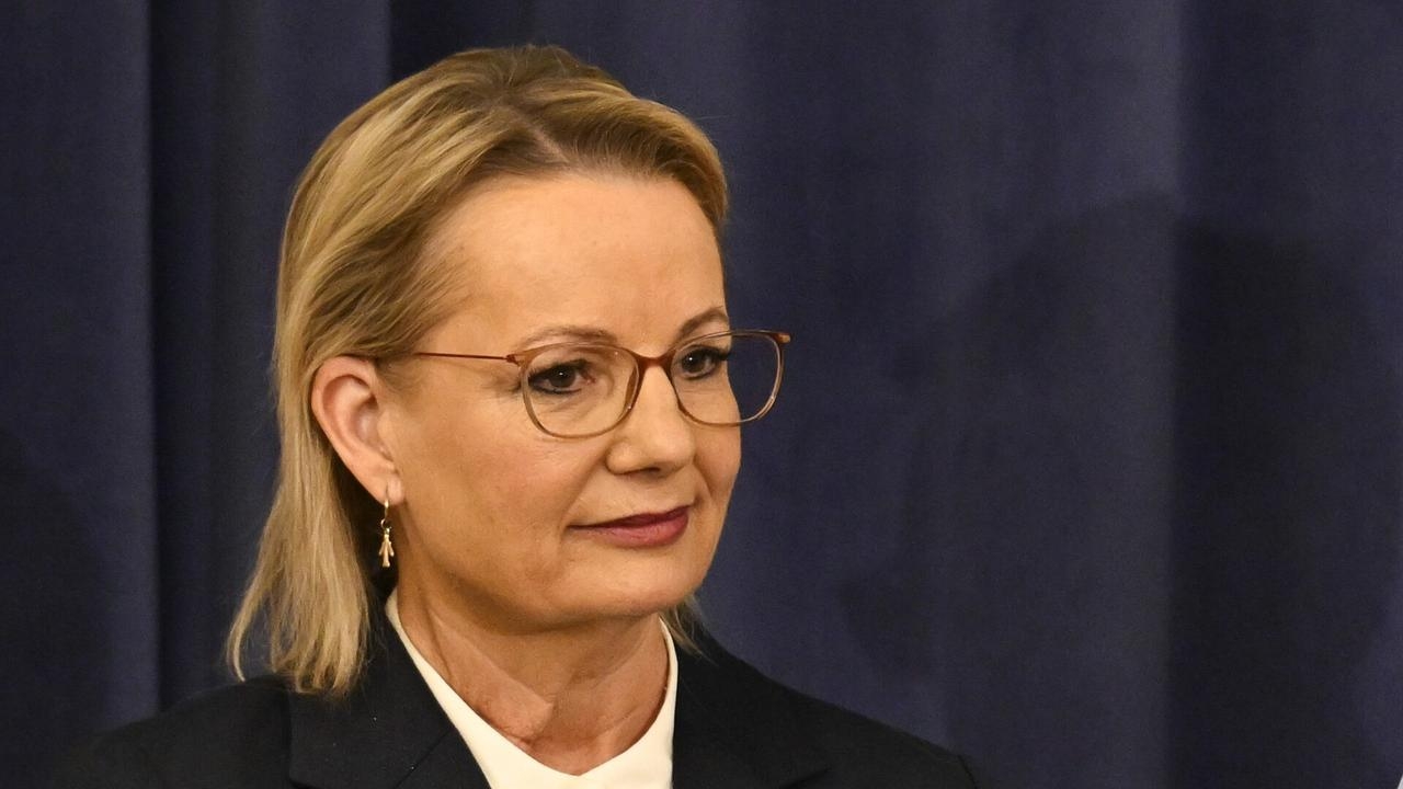 Sussan Ley's shadow cabinet reveal causes Coalition divide