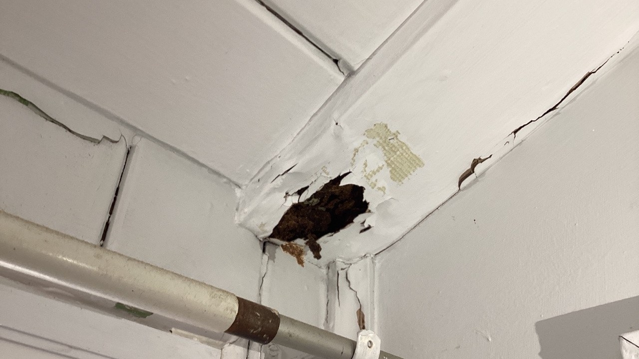 One in three state school buildings across Queensland labelled ‘unfit for purpose' as shocking report uncovers years of neglect