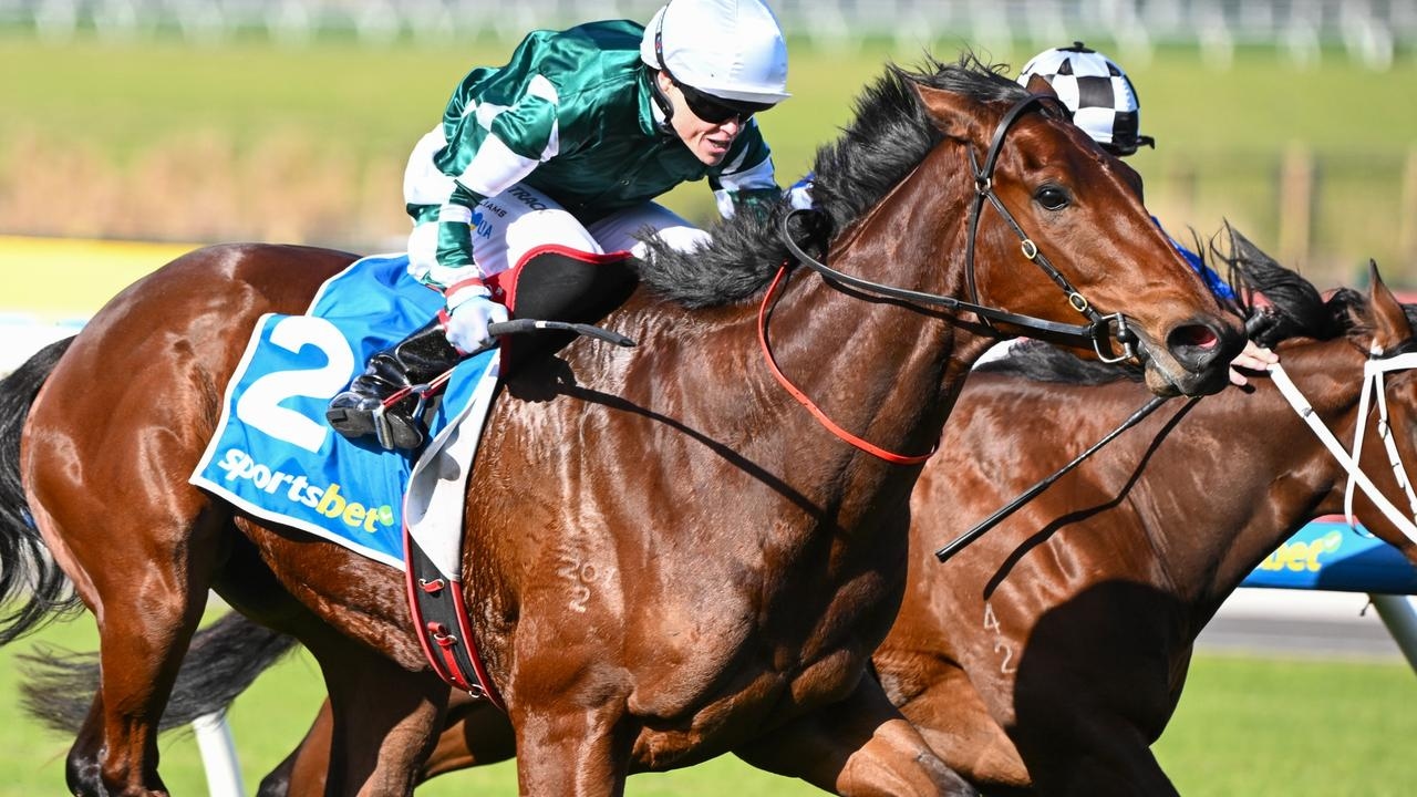Ciaron Maher eyes Group 3 Quezette Stakes for unbeaten filly Signature Scent after tough win at Caulfield
